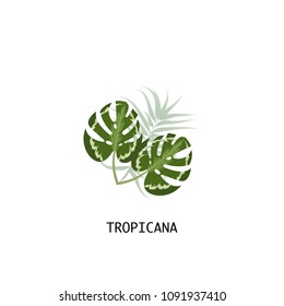 Tropical leaf vector design elements. Watercolor style