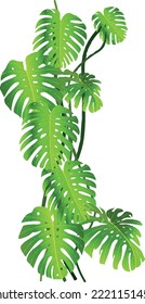 tropical leaf vector design, leaf green 