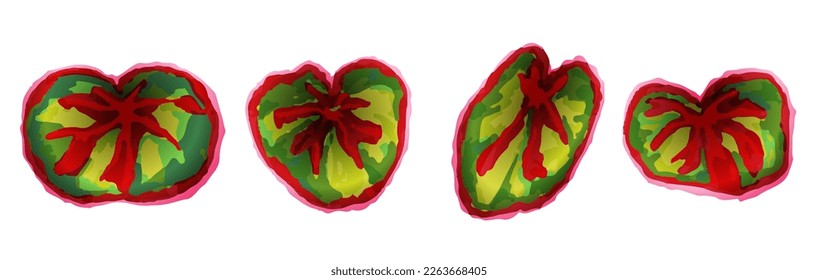 Hoja tropical. Hoja de palma verde vectorial dibujada a mano. Silhouette de planta exótica. Elemento botánico aislado sobre fondo blanco. Hojas tropicales del vector de acuarela del follaje de verano hawaiano. Loto vintage