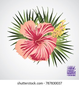 Tropical leaf. Vector green palm leaf. Silhouette of exotic plant. Botanical element isolated on white background. Summer hawaiian hand drawn vector tropical leaves. Monstera, fern, palm, hibiscus.