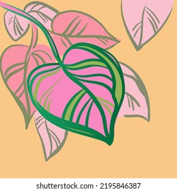 Tropische Blatt-Vektorgrafik. Farbige abstrakte, handgezeichnete Vektorgrafik. 