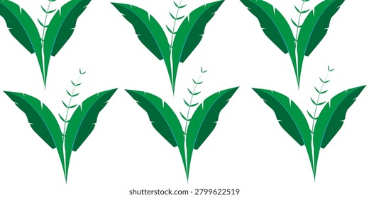 Tropical Leaf Vector Illustration Element Set Symmetrical Green Banana Palm Silhouette Background Herbal Stalk Emblem Pack Isolated White Backdrop