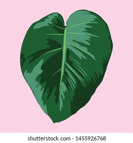 Tropical Leaf Vector Illustration - Tropical Monstera deliciosa leaf vector illustration in a flat, paint by numbers style.