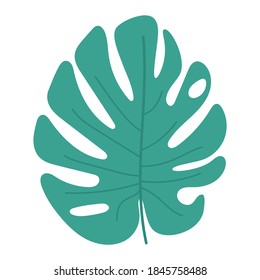 tropical leaf vector illustration on white background