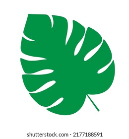 Tropical leaf vector illustration on white background
