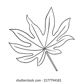 Tropische Blatt-Vektorgrafik auf weißem Hintergrund