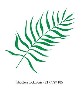 Tropical leaf vector illustration on white background