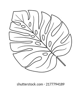 Tropical leaf vector illustration on white background