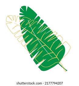 Tropical leaf vector illustration on white background