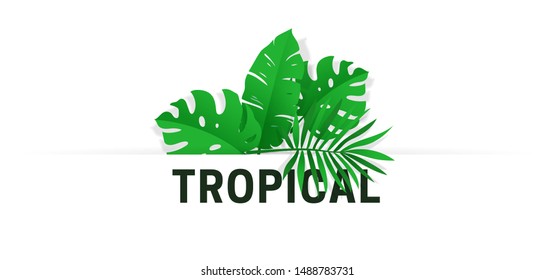 Tropical leaf vector illustration typography text. simple clean background banner template with fresh Monstera palm leaves. Hawaiian jungle vibe summer time poster. Origami paper cut style design.