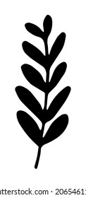 tropical leaf. The vector isolated leaf is long with individual rounded small leaves, hand-drawn in sketch style on a white background. silhouette of a black plant leaf for a design template