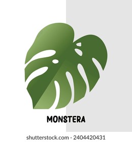 planta de monstera vectorial de hoja tropical