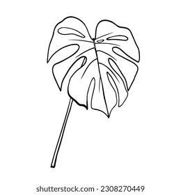 Tropical leaf, vector outline illustration