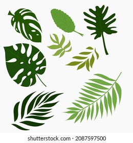 Tropical leaf vector set in green