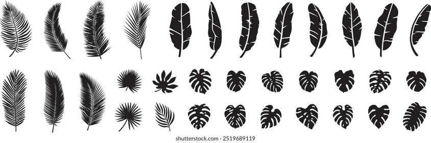ilustração design gráfico arte silhueta cortar colagem folha de coco folha de coco folha de palmeira folhas monstera natureza floresta verão ilha férias férias viagem hawaii aloha