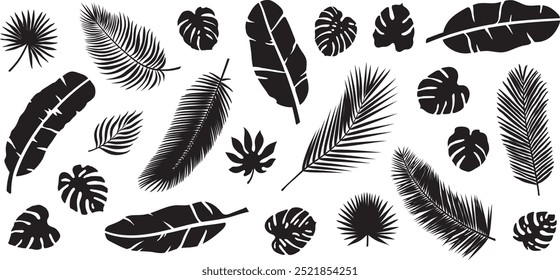 Conjunto de Vector de hoja tropical. ilustración Diseño gráfico de arte Silueta recortada Collage Hoja de plátano Hoja de coco Hojas de palma Monstera Naturaleza Bosque Isla de verano Vacaciones Viaje Trópico Hawái