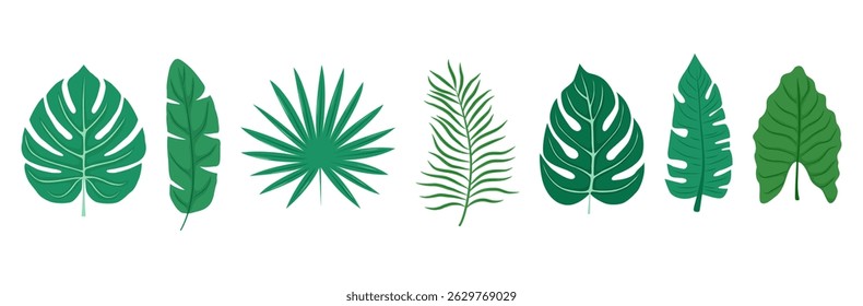 Tropical leaf vector set. Includes monstera, palm, banana, and other exotic plant elements. Ideal for posters, textiles, branding, and vacation graphics.