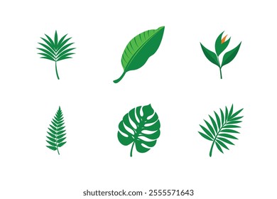 Tropical Leaf Vector Set Vibrant Designs for Nature-Inspired Creativity