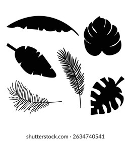 Tropical Leaf Vector Silhouettes. Banana, Palm, and Monstera Clipart Set.