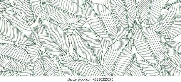 Tropical leaf wallpaper, luxury botanical nature leaf design, vector background with green banana leaf lines. Hand drawn, suitable for fabric design, print, cover, banner and invitations.	