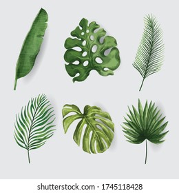 Conjunto de acuarela de hoja tropical. vector
