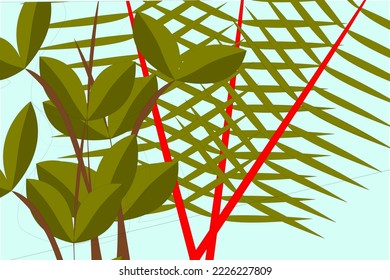tropical leafe in asian jungle,manggis and coconut leafe,vector