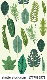 tropical leafs botanical background design vector illustration design