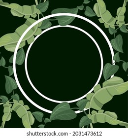 tropical leafs circular frame nature icons