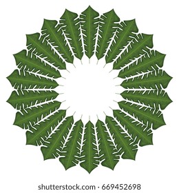 tropical leafs decorative frame