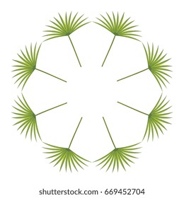 tropical leafs decorative frame