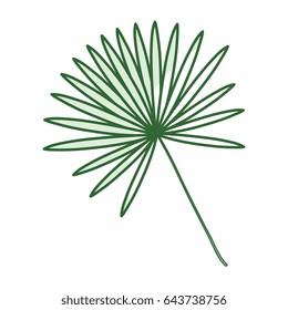 tropical leafs decorative icon