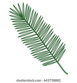 tropical leafs decorative icon