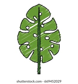 tropical leafs decorative icon