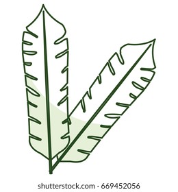 tropical leafs decorative icon