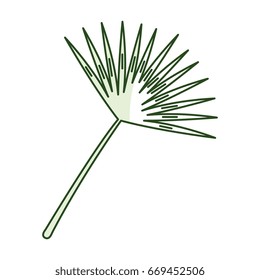 tropical leafs decorative icon