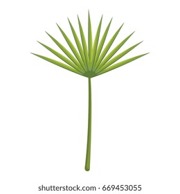 tropical leafs decorative icon