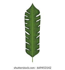 tropical leafs decorative icon