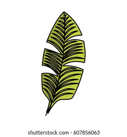 tropical leafs decorative icon vector illustration design