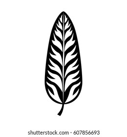 tropical leafs decorative icon vector illustration design