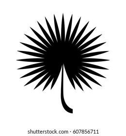 tropical leafs decorative icon vector illustration design