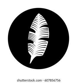 tropical leafs decorative icon vector illustration design