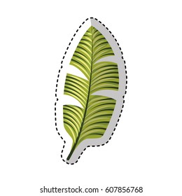 tropical leafs decorative icon vector illustration design