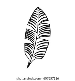 tropical leafs decorative icon vector illustration design