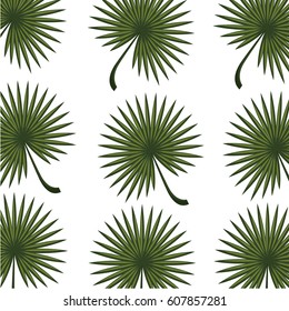 tropical leafs decorative icon vector illustration design