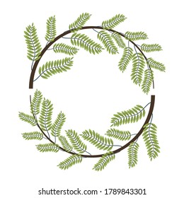 tropical leafs palm nature circular frame vector illustration design
