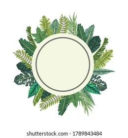 tropical leafs palm nature circular frame vector illustration design