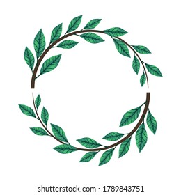 tropical leafs palm nature circular frame vector illustration design