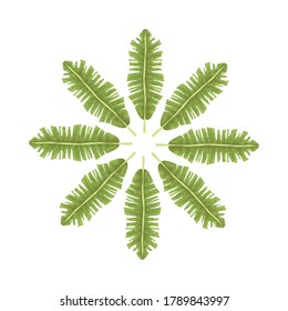 hojas tropicales palma naturaleza decoración circular ilustración vectorial