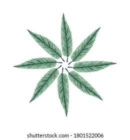 tropical leafs palm nature circular decoration vector illustration design