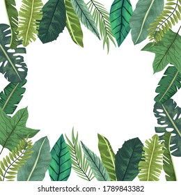 diseño de ilustraciones vectoriales de hojas tropicales de la naturaleza de la palma